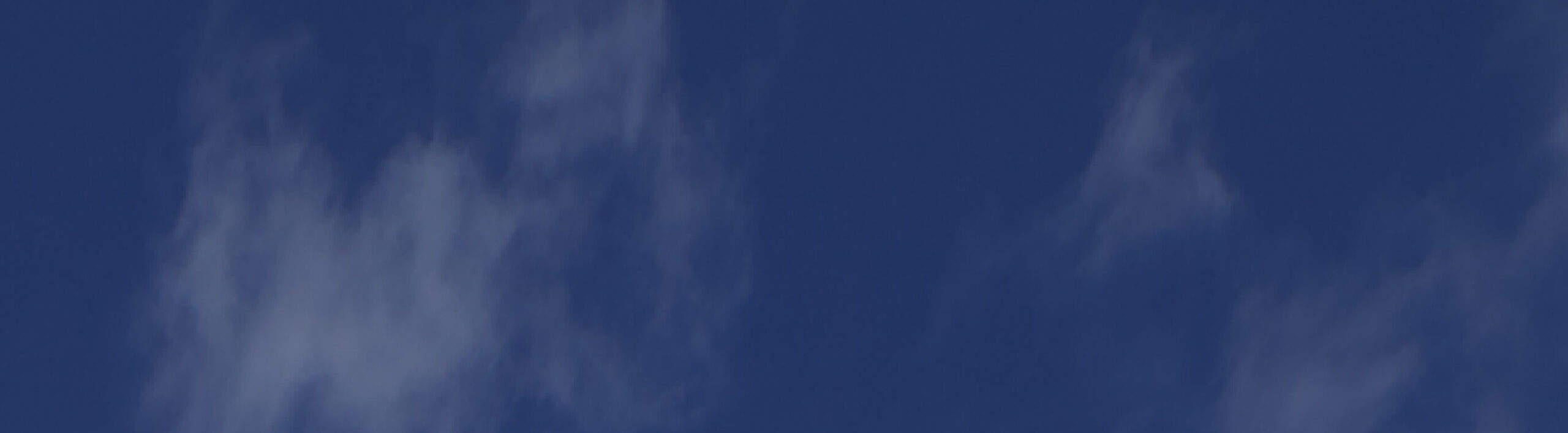https://generalcontractor.com/wp-content/uploads/2023/09/Bent-Tree.png