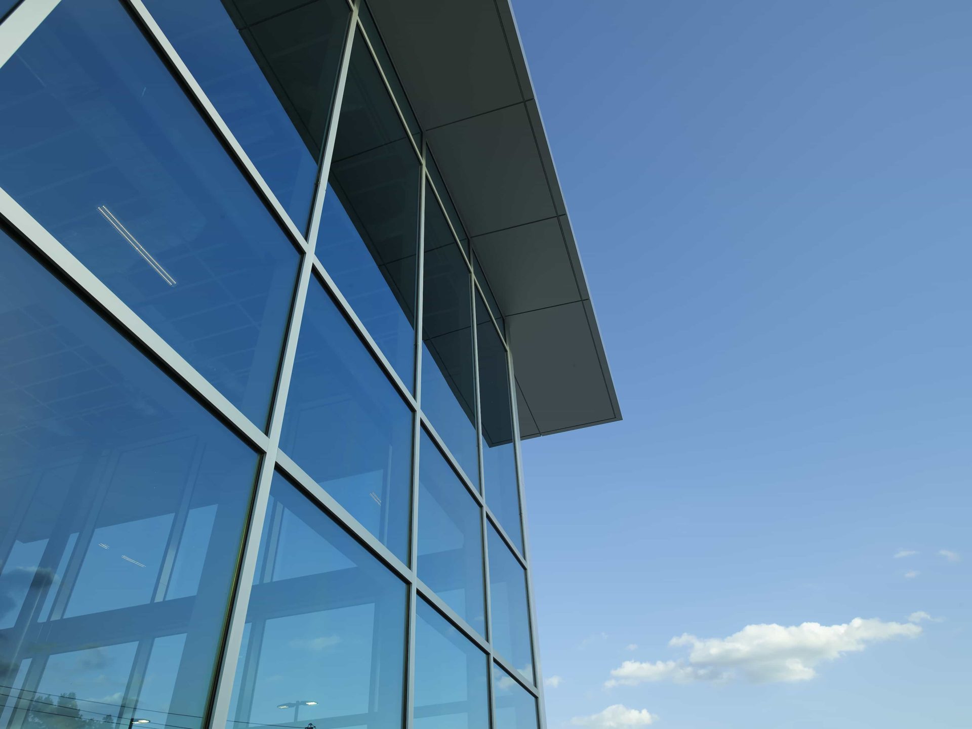 https://generalcontractor.com/wp-content/uploads/2023/09/Bent-Tree.png
